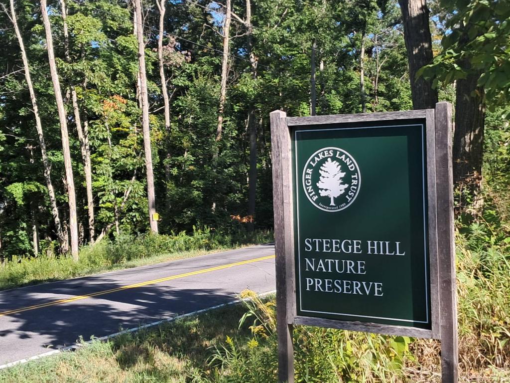Photo: Exploring Steege Hill Preserve