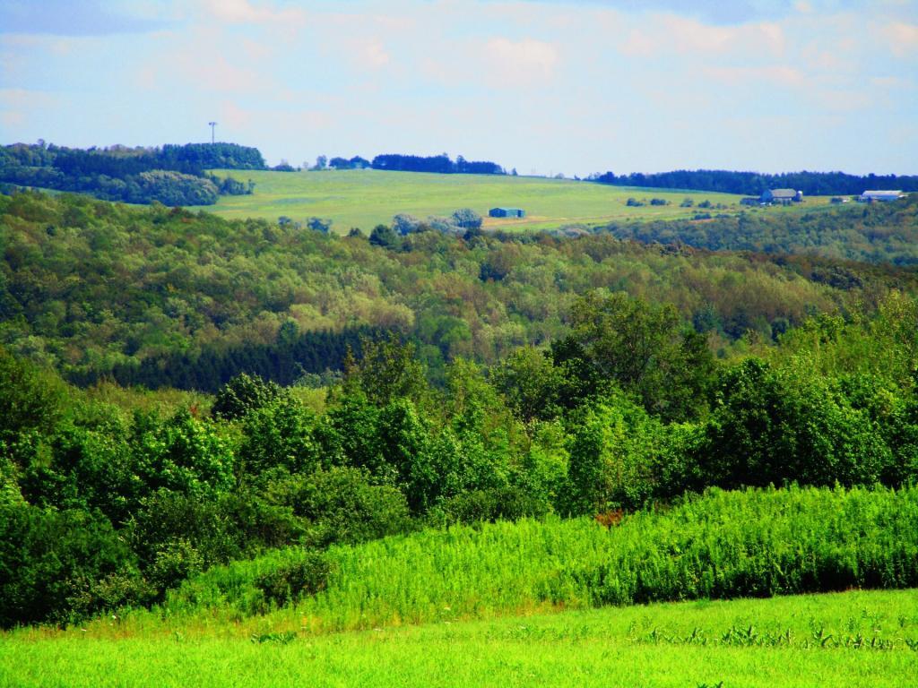 Photo: Sugar Hill Farm