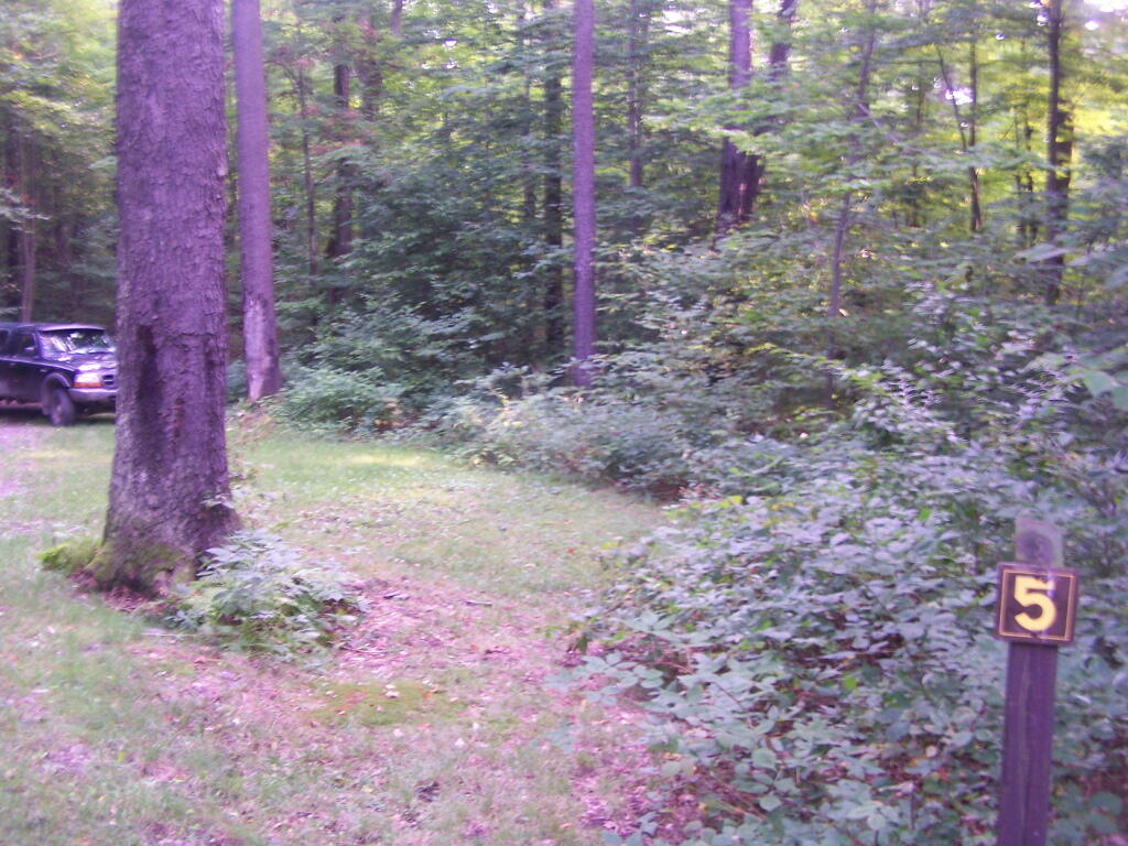 Photo: Campsite 5