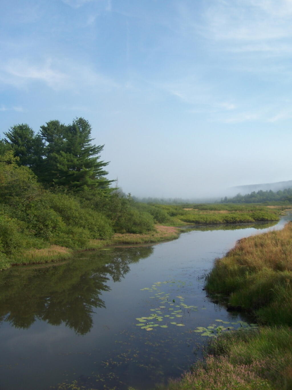 Photo: Beaver Creek in the Morning