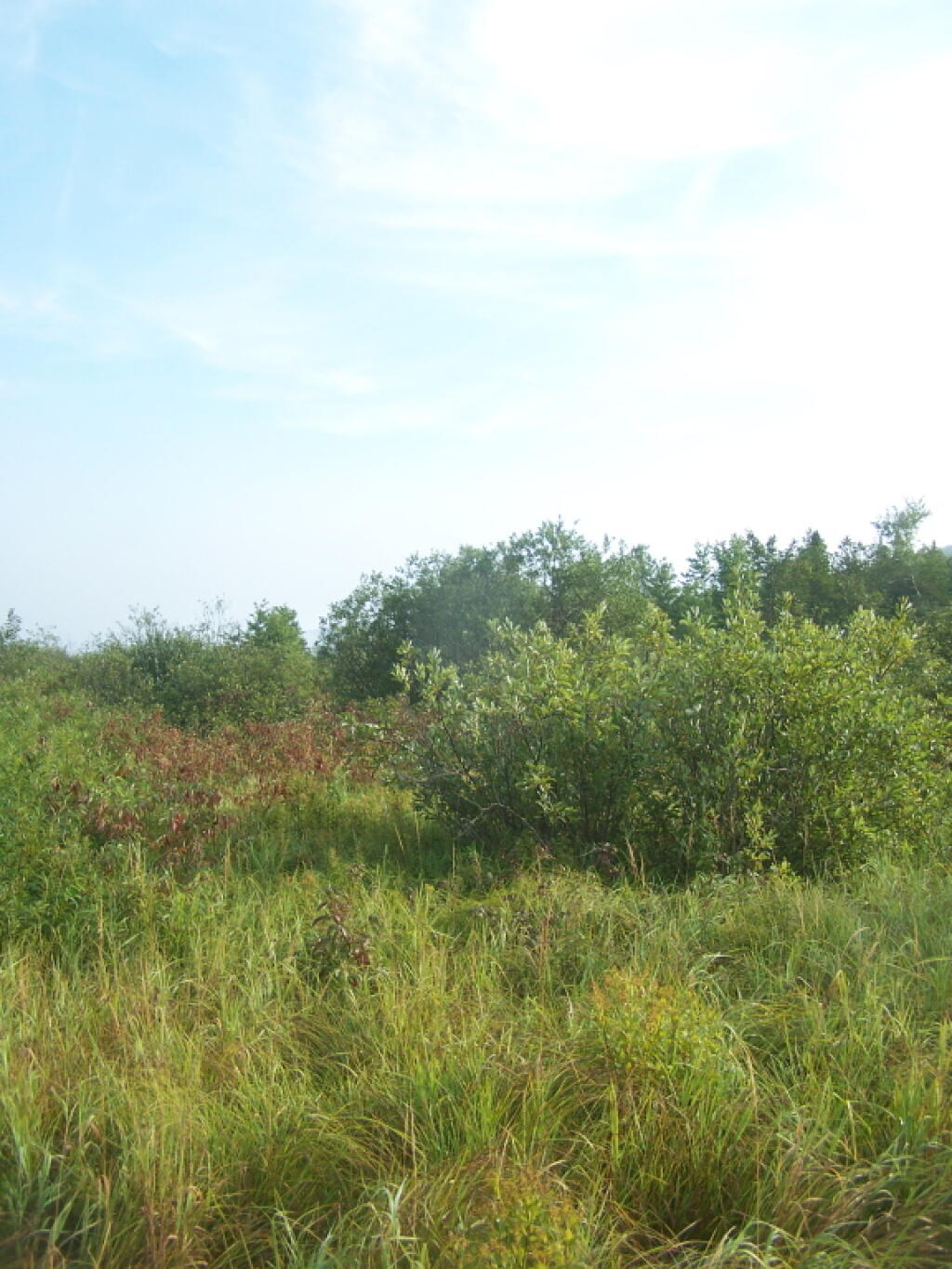 Photo: Along the Horse Trail