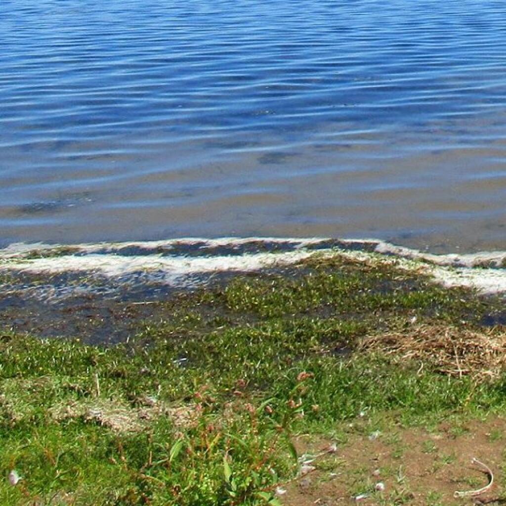 Photo: Shore