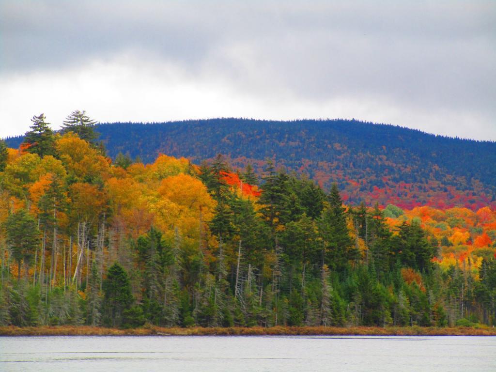 Photo: Pillsbury Lake