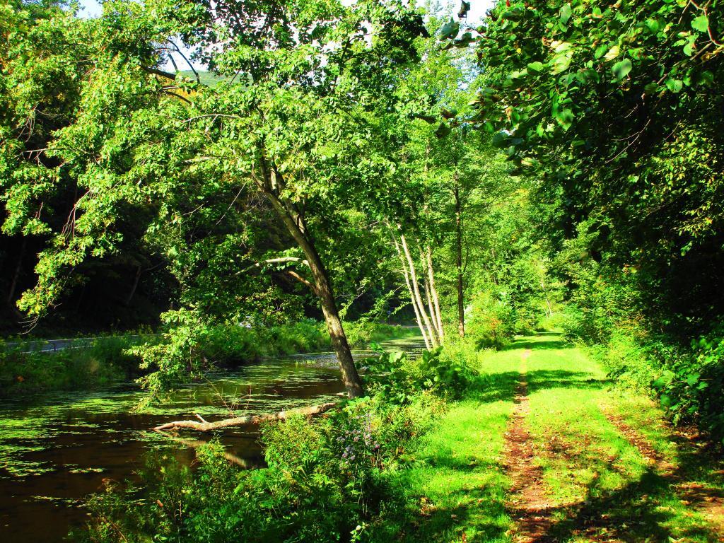 Photo: Not the Old Erie Canal