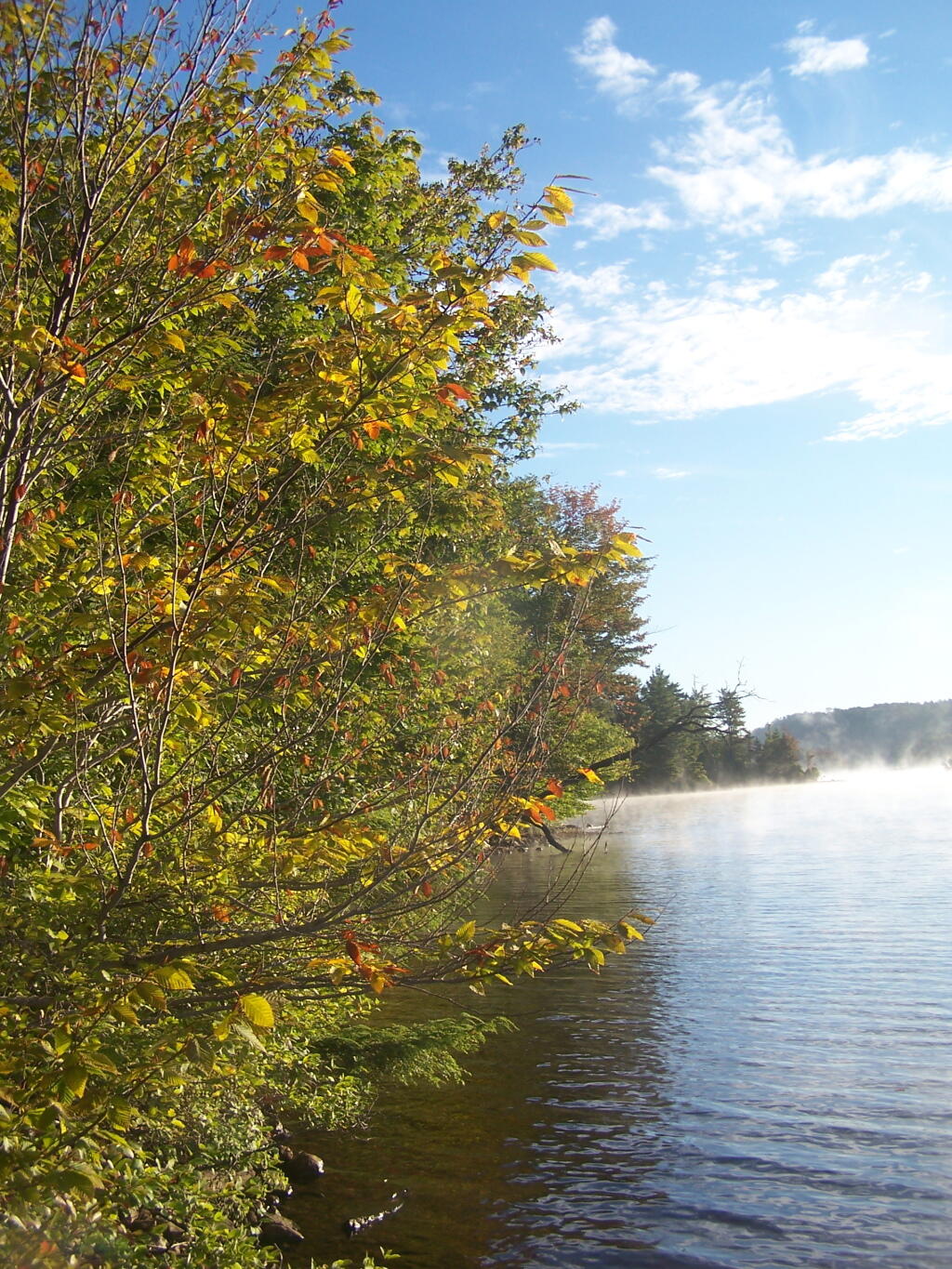 Photo: Edge of North Lake in Morning