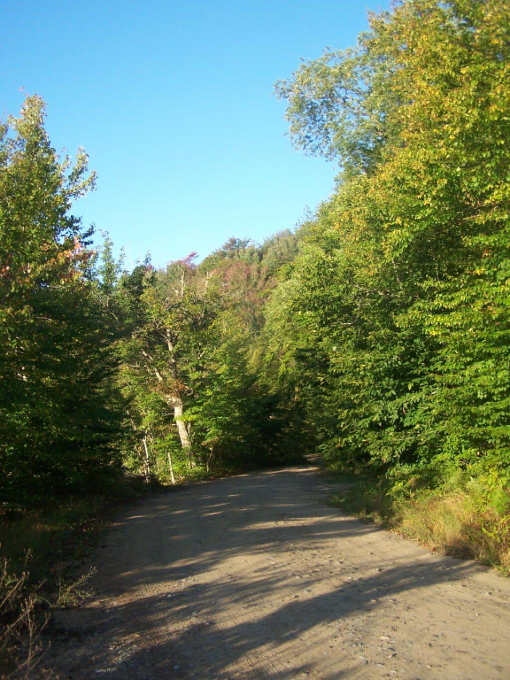 Photo: North Lake Road