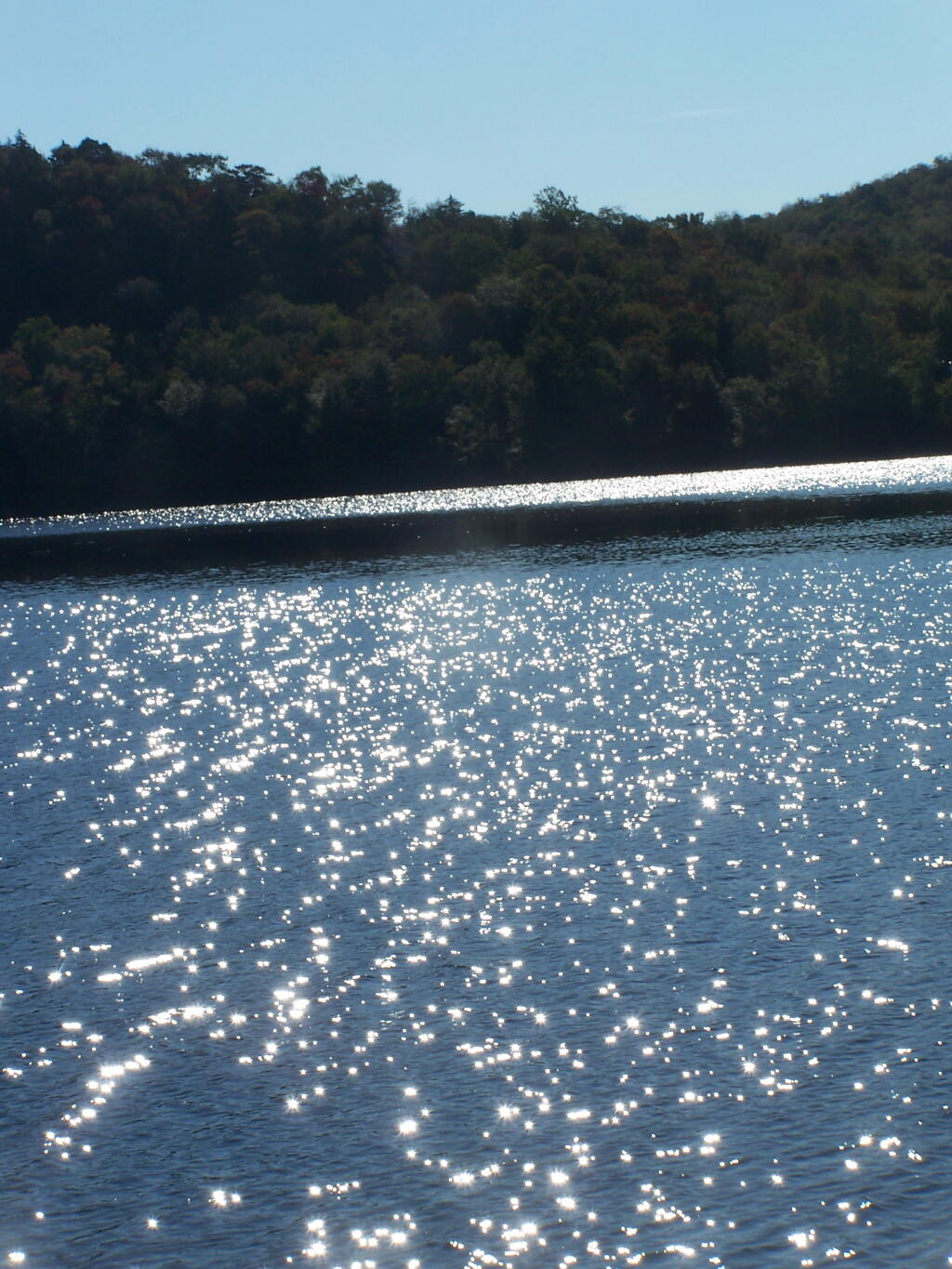 Photo: Sparkles
