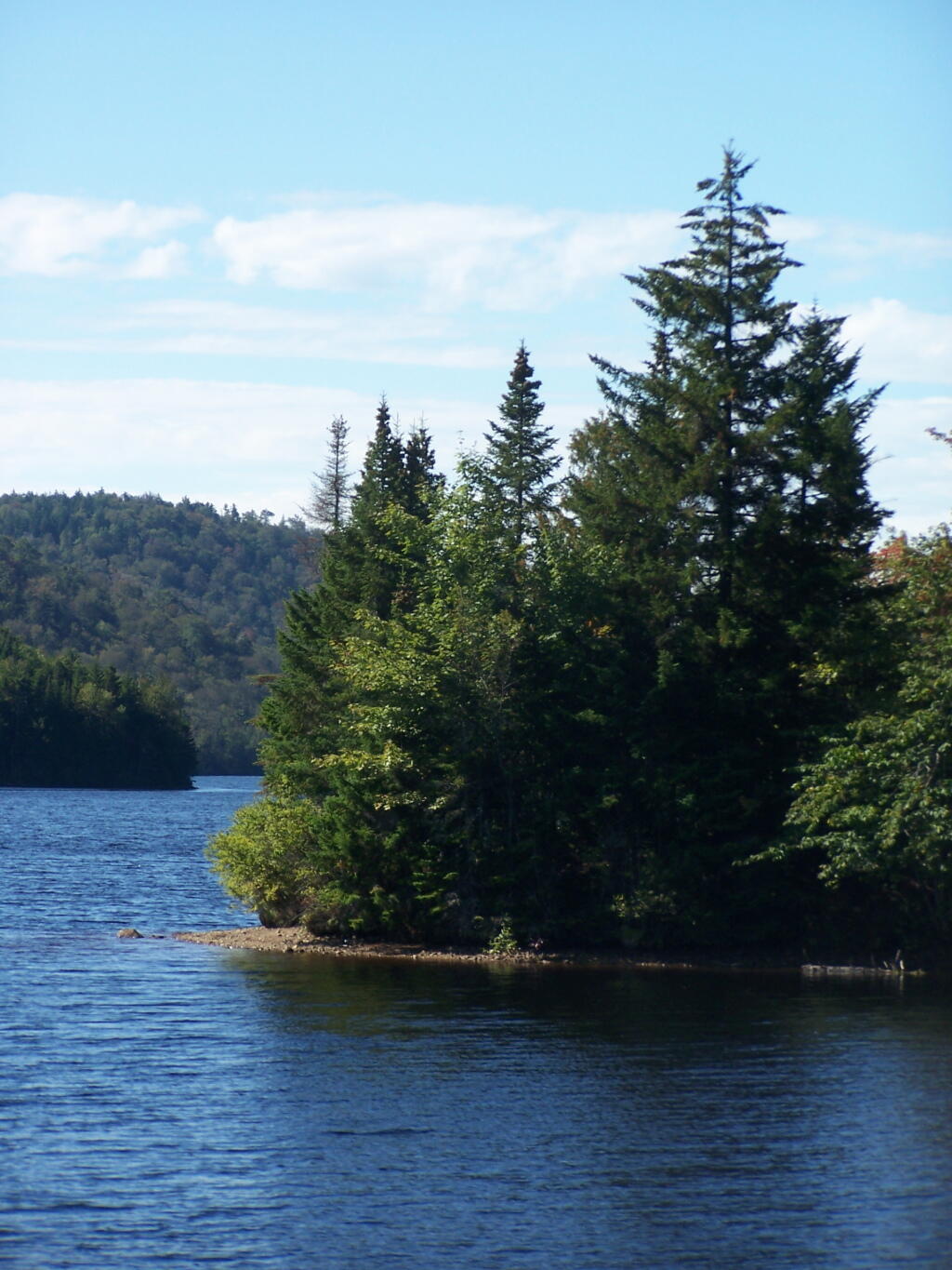 Photo: Trees on Island
