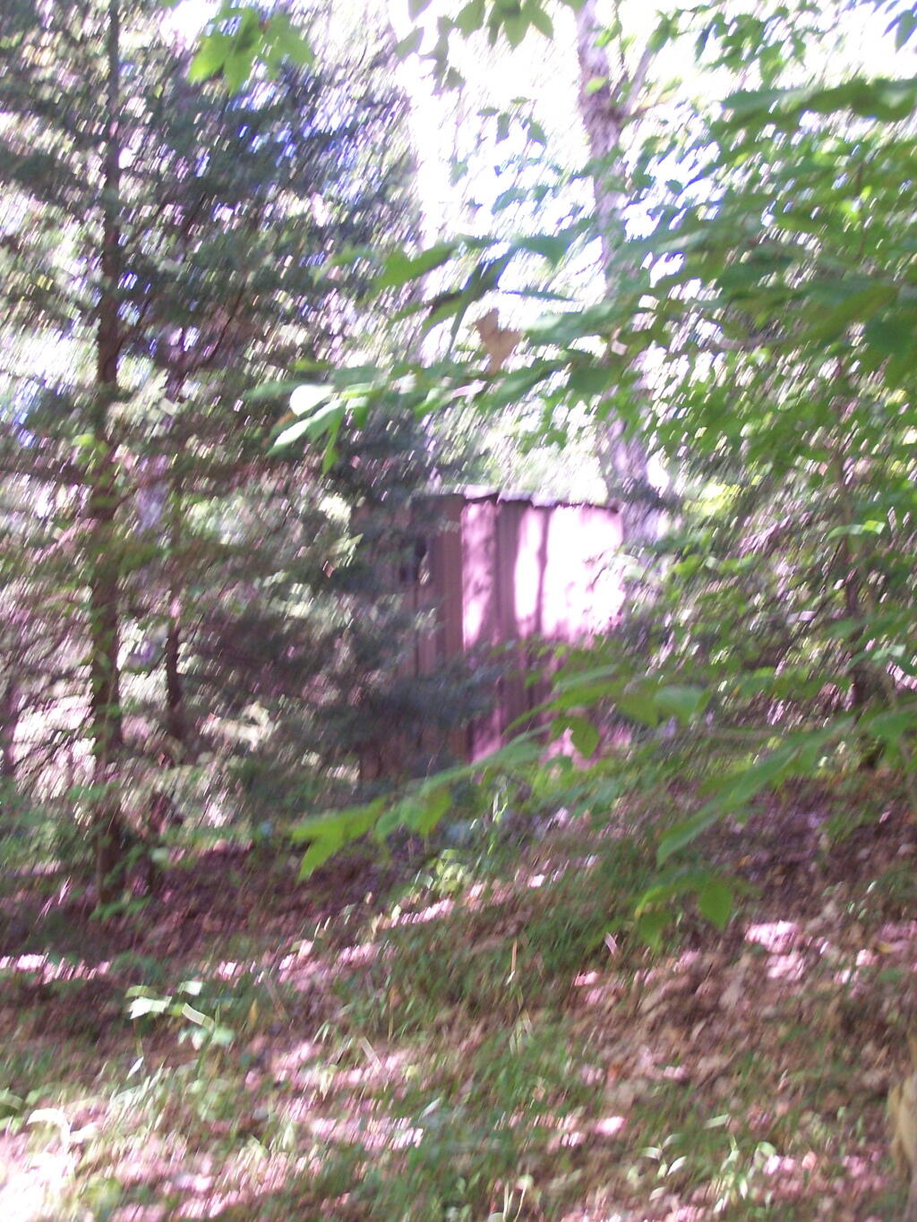 Photo: Outhouse