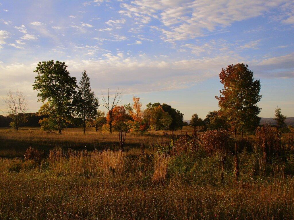 Photo: Autumn Skies
