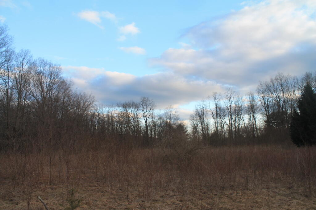 Photo: Clearing Up a Bit