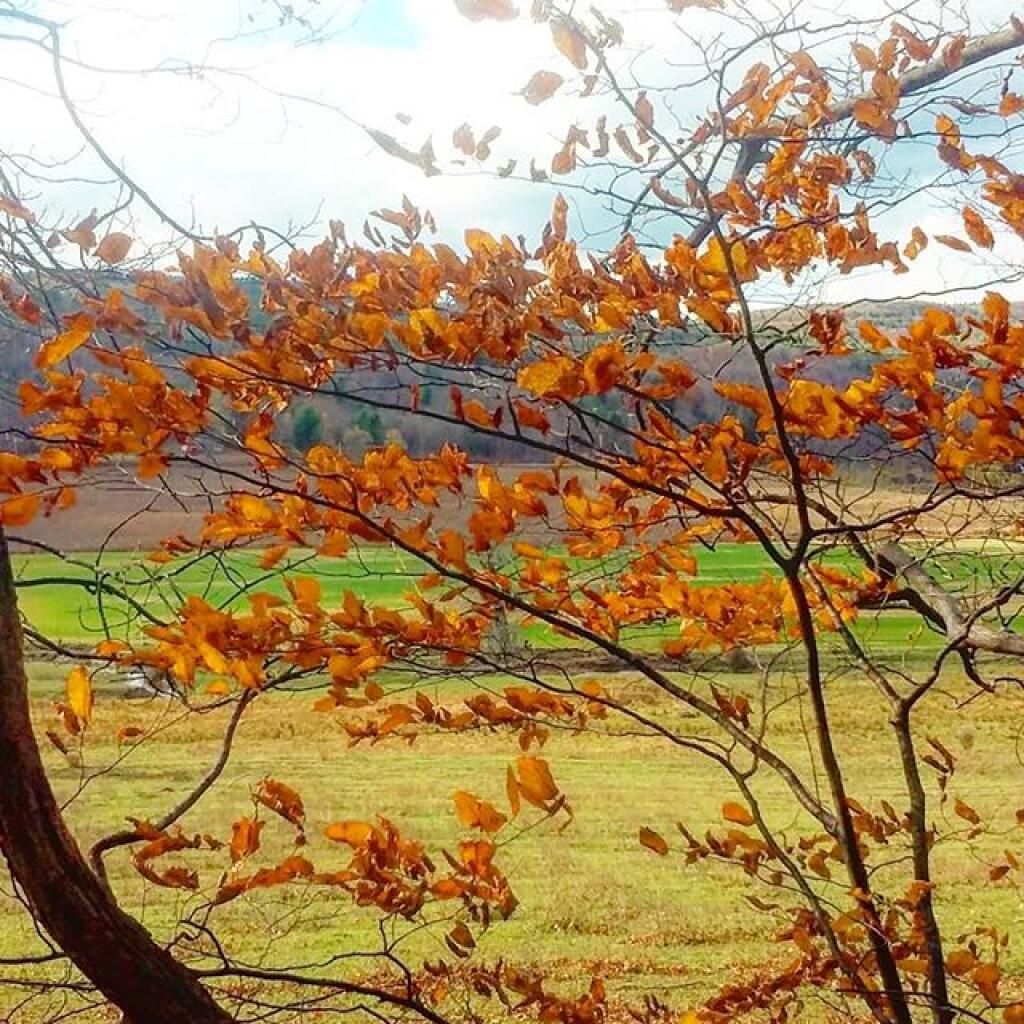 Photo: This is November