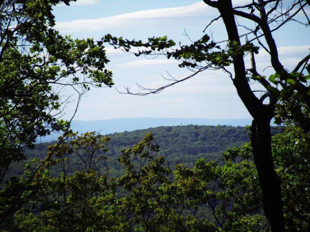 Photo: Beebe Hill Firetower In The Distance