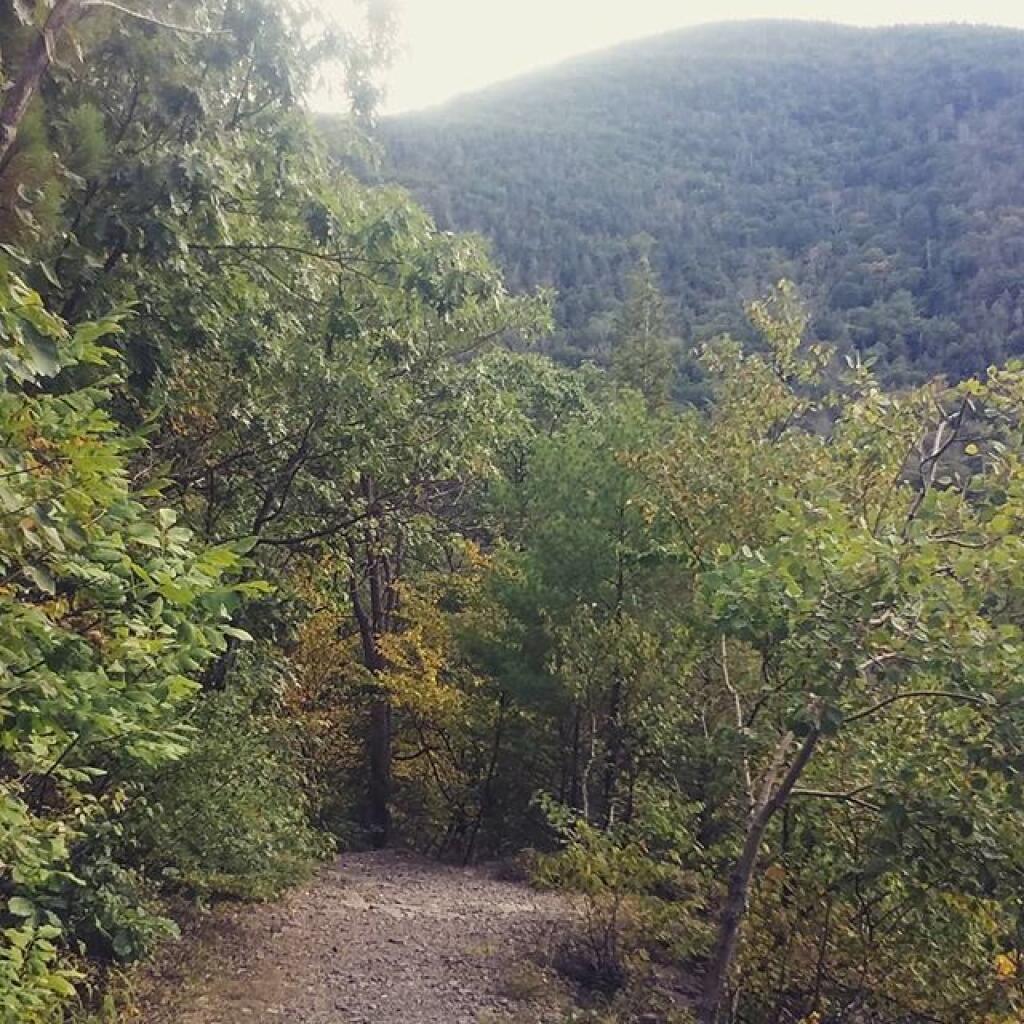 Photo: Old Road