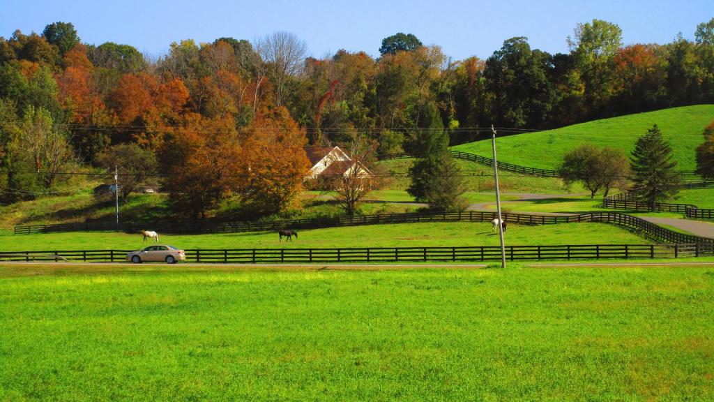 Photo: Horse Country
