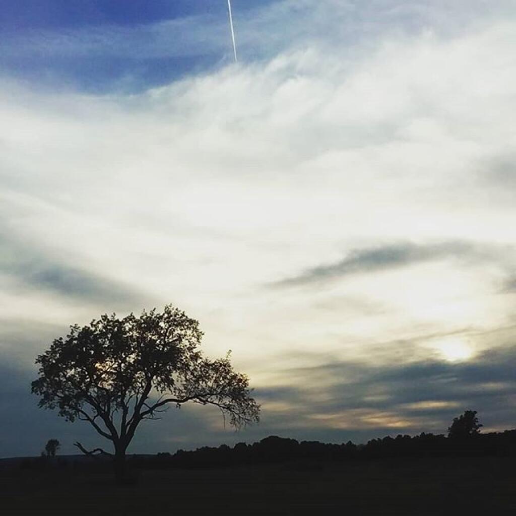 Photo: Dusk