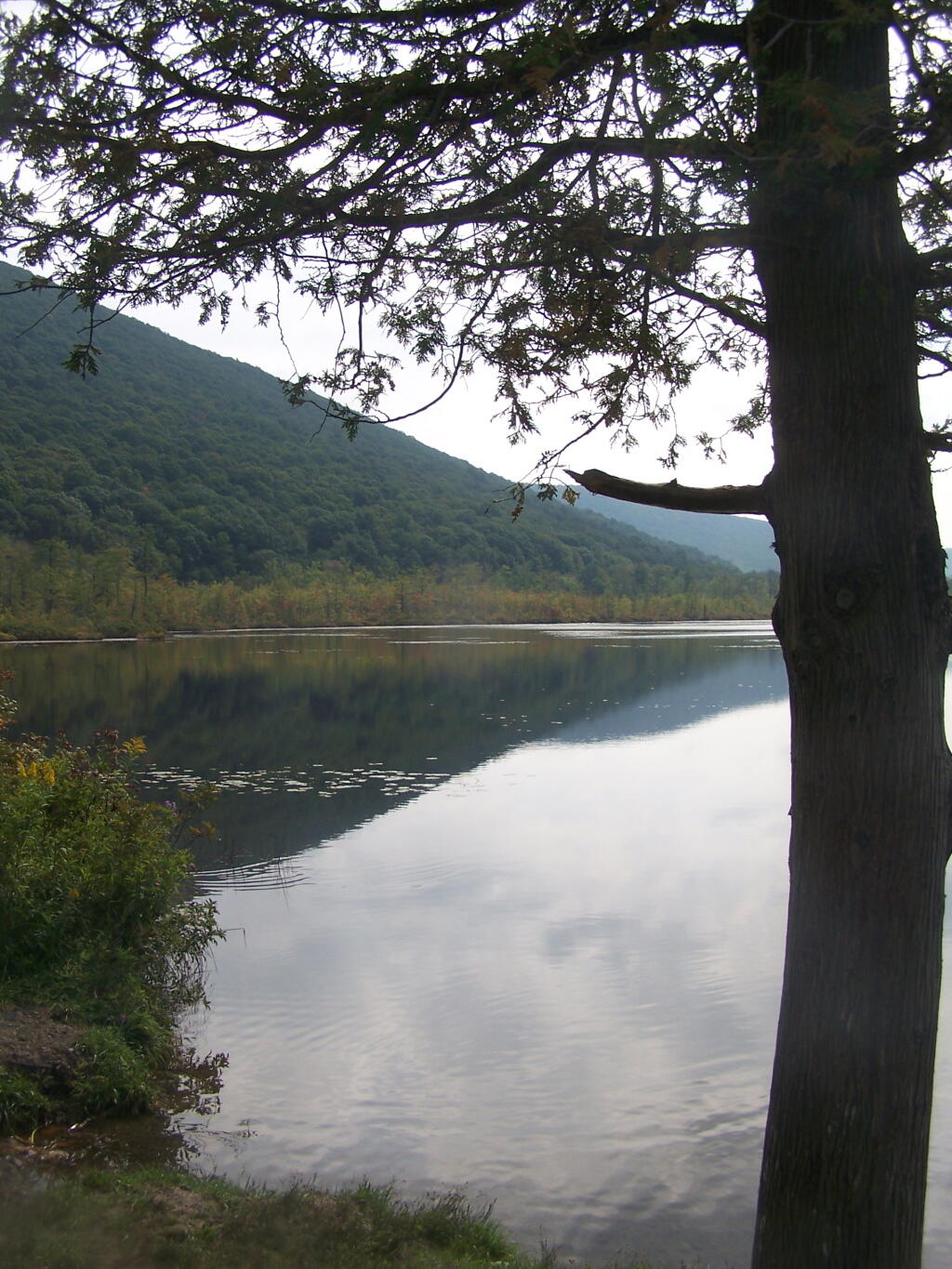 Photo: Jones Hill