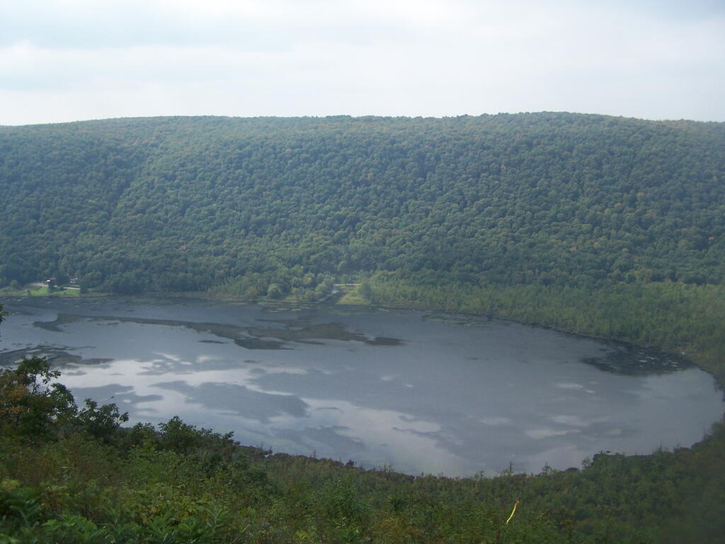 Photo: Labrador Pond
