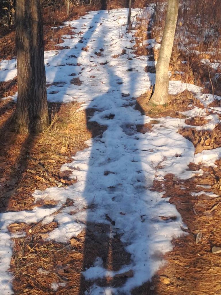 Photo: Shadows