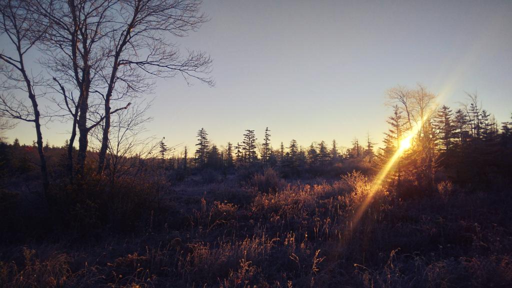 Photo: Sunrise