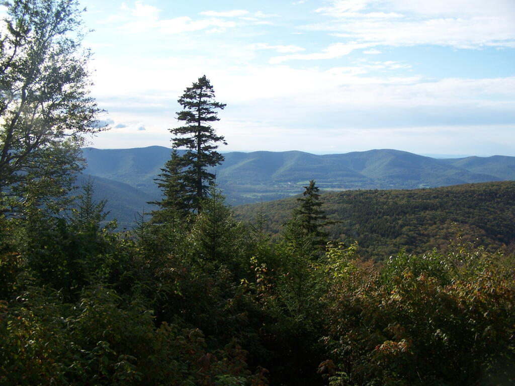 Photo: Ashford Valley