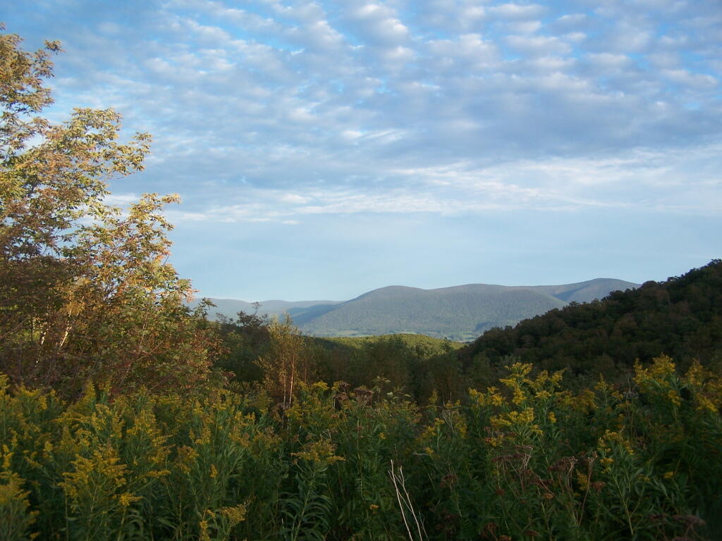 Photo: Clouds