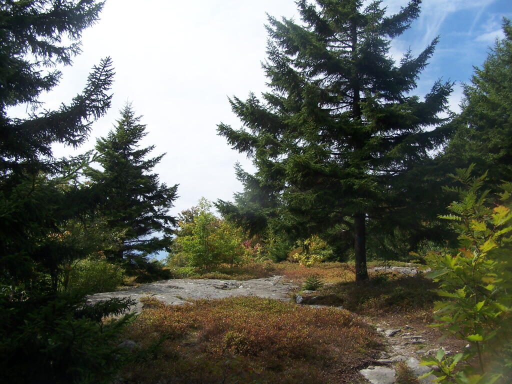 Photo: On Rounds Rock