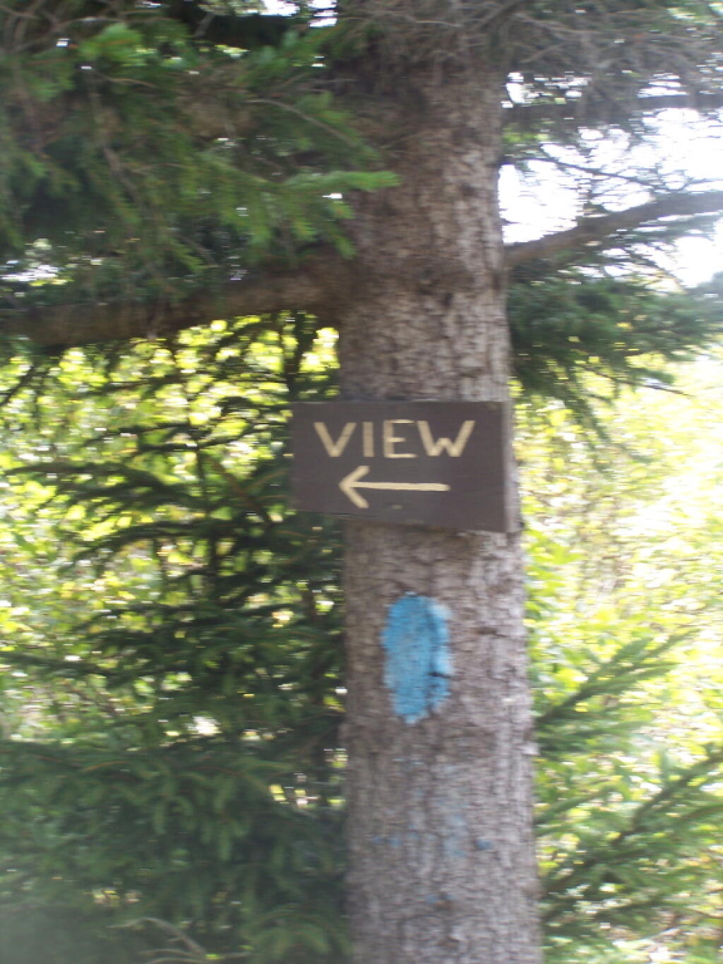 Photo: To the View