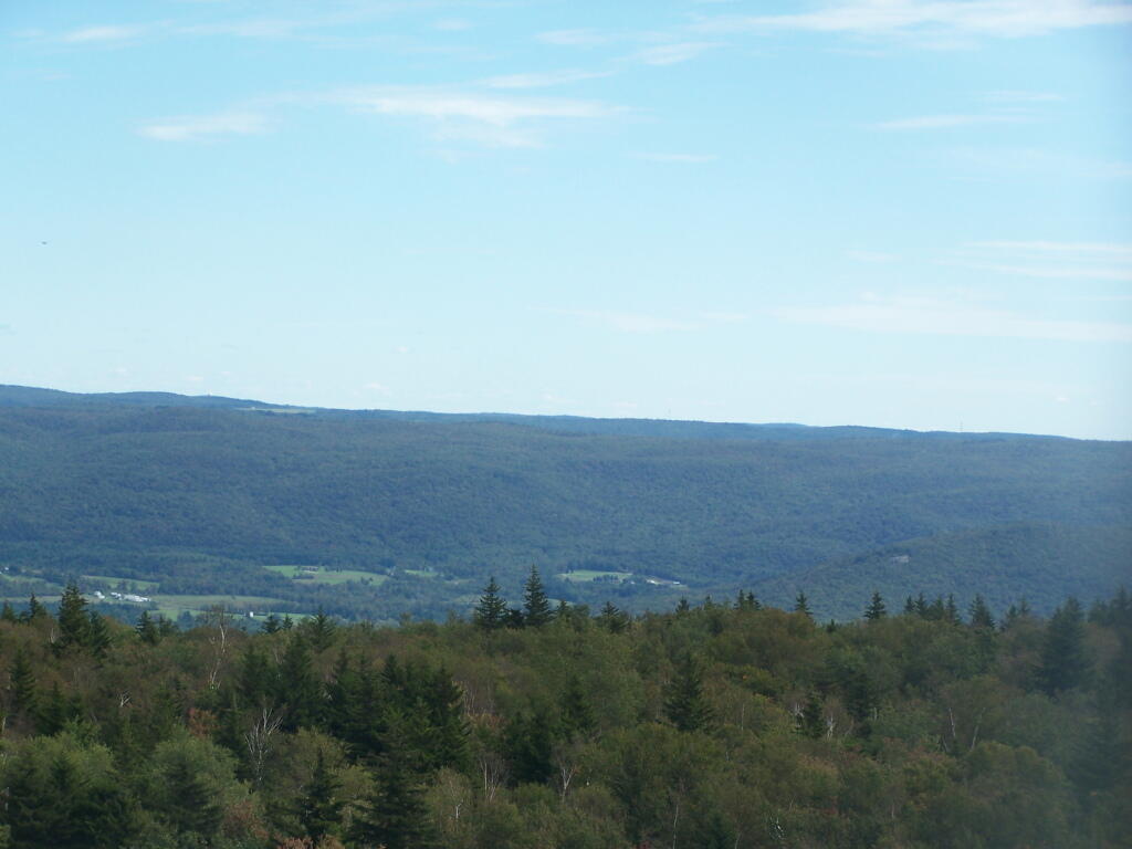 Photo: Cheshire Valley
