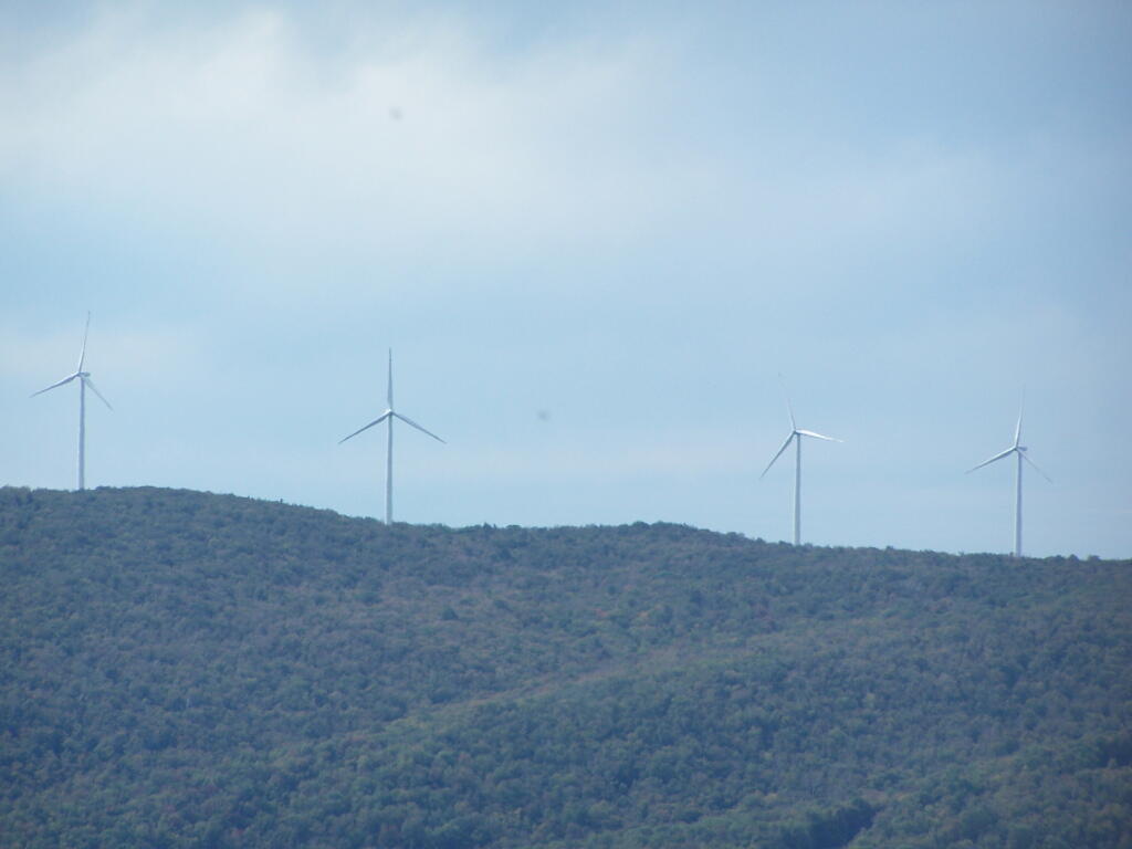 Photo: Brodie Mountain Wind Farm