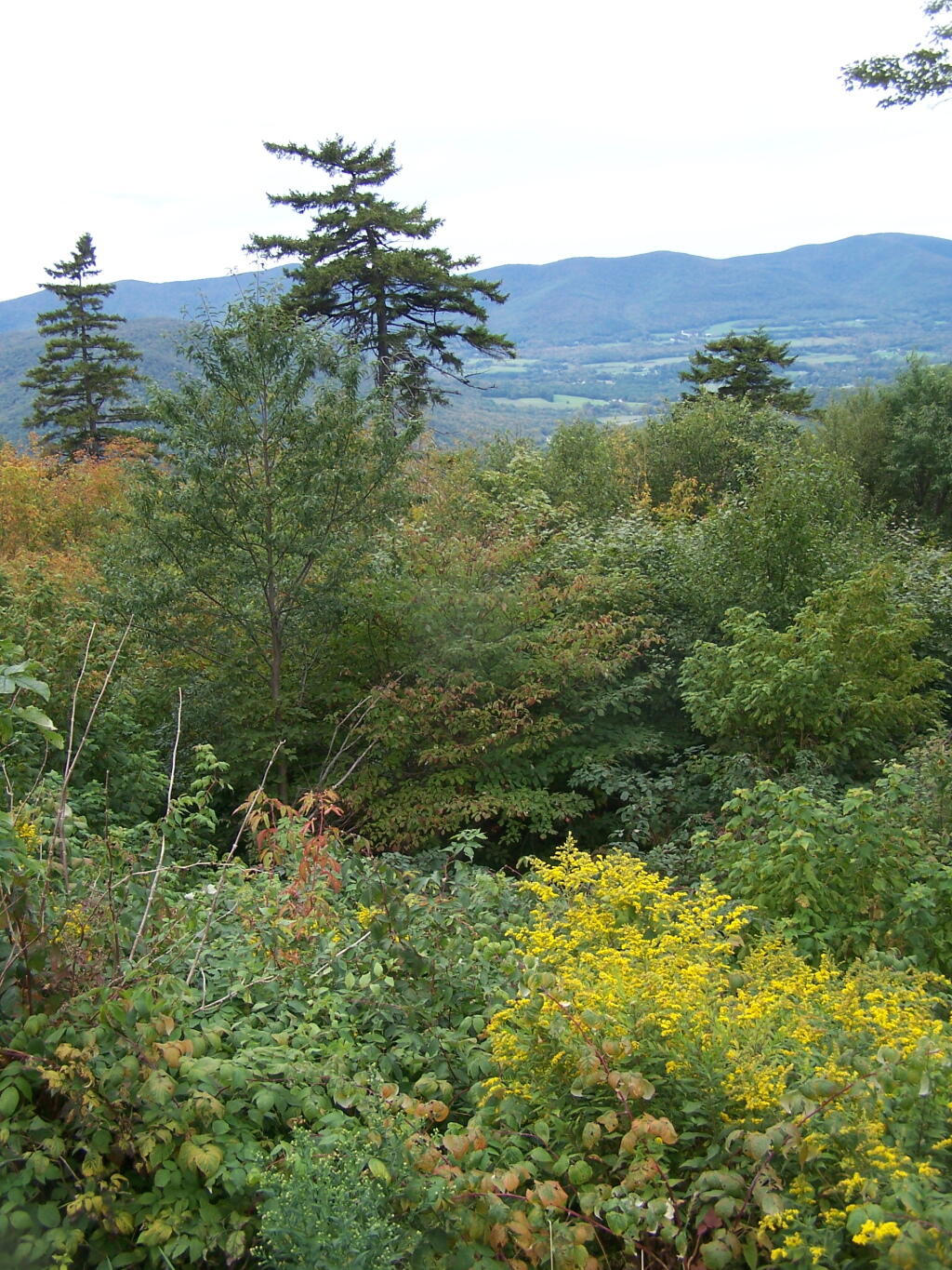 Photo: View Along Sperry Road