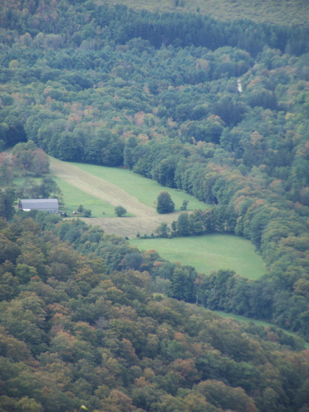 Photo: Bradley Farm