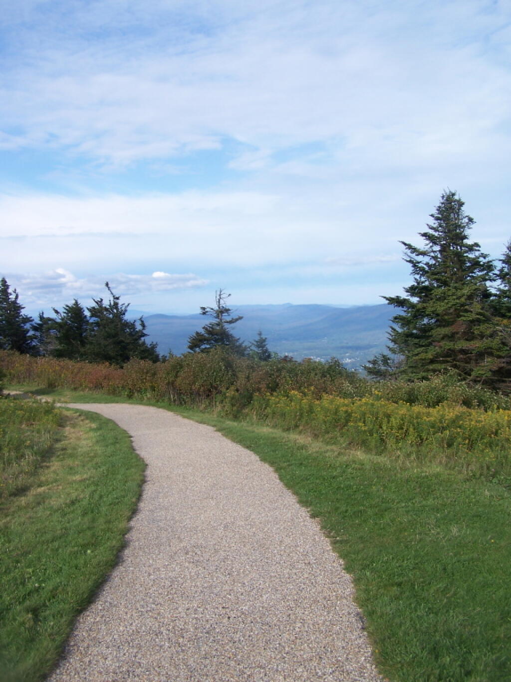 Photo: Foot Path on Summit