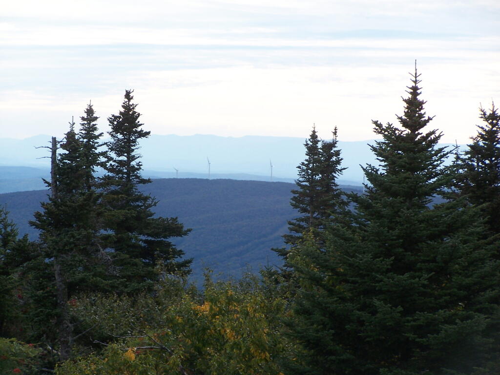 Photo: Towards Brodie Wind Farm