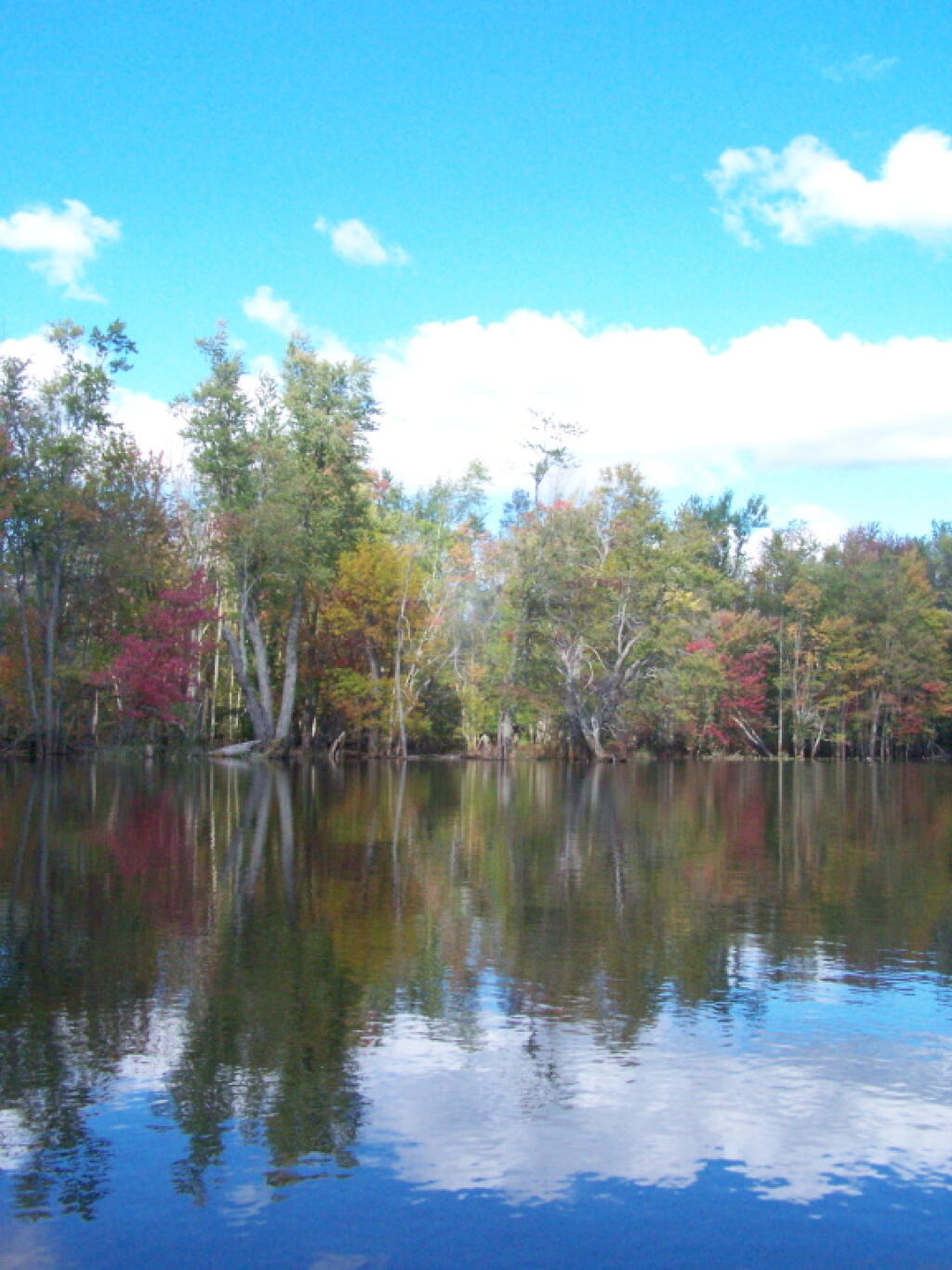 Photo: Clouds Reflect