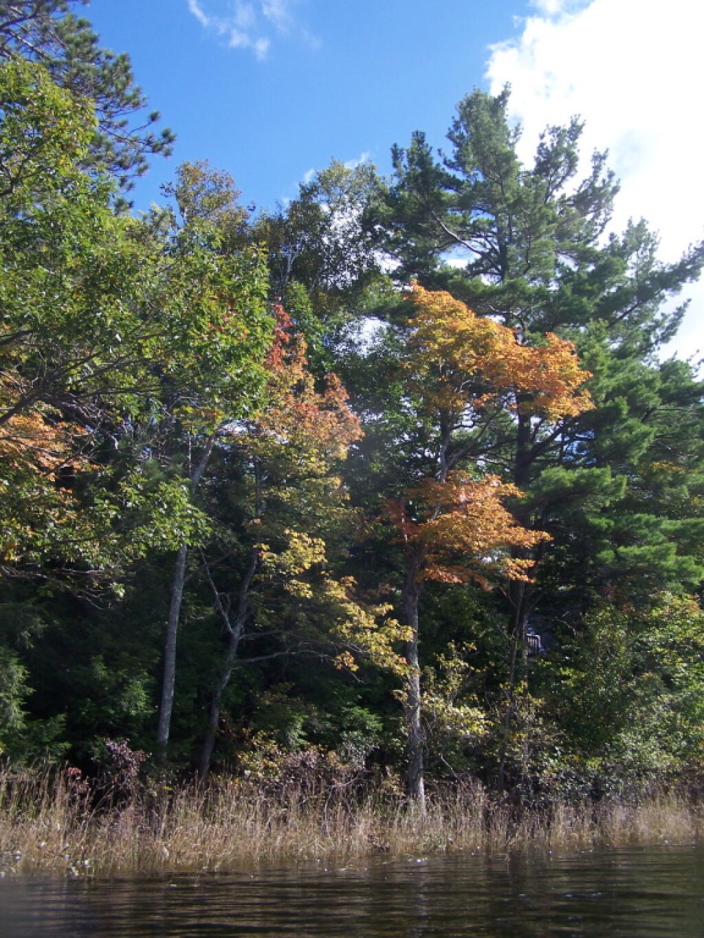 Photo: Along Thompsons Lake State Park