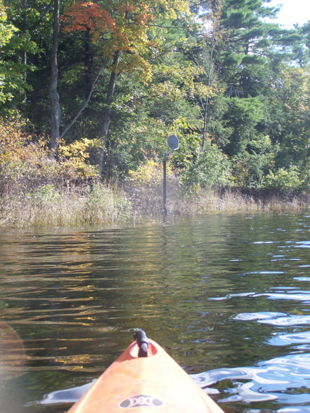 Photo: Satellite on the Lake
