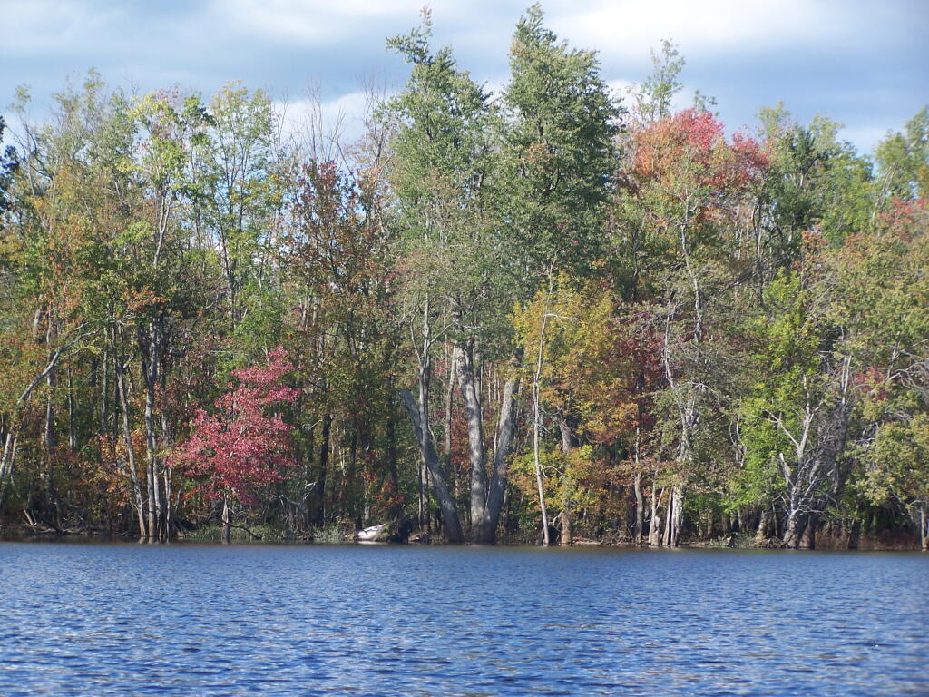 Photo: Colors Along Lake