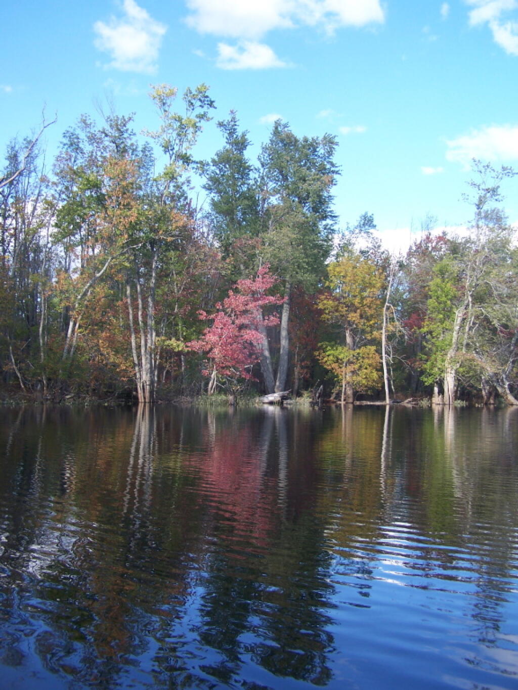Photo: Reds, Yellows, Greens of Early Autumn