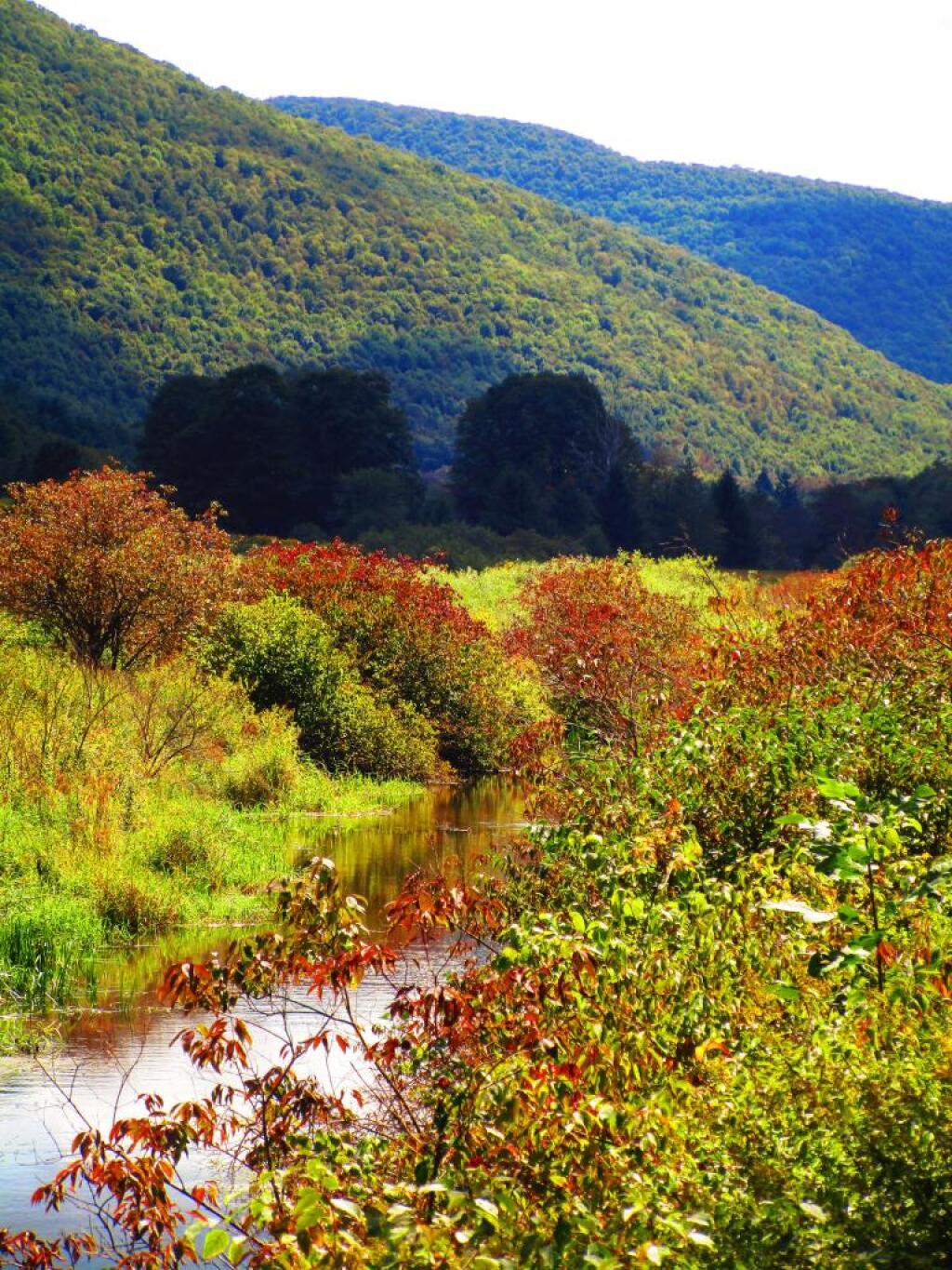 Photo: East Branch Delaware River