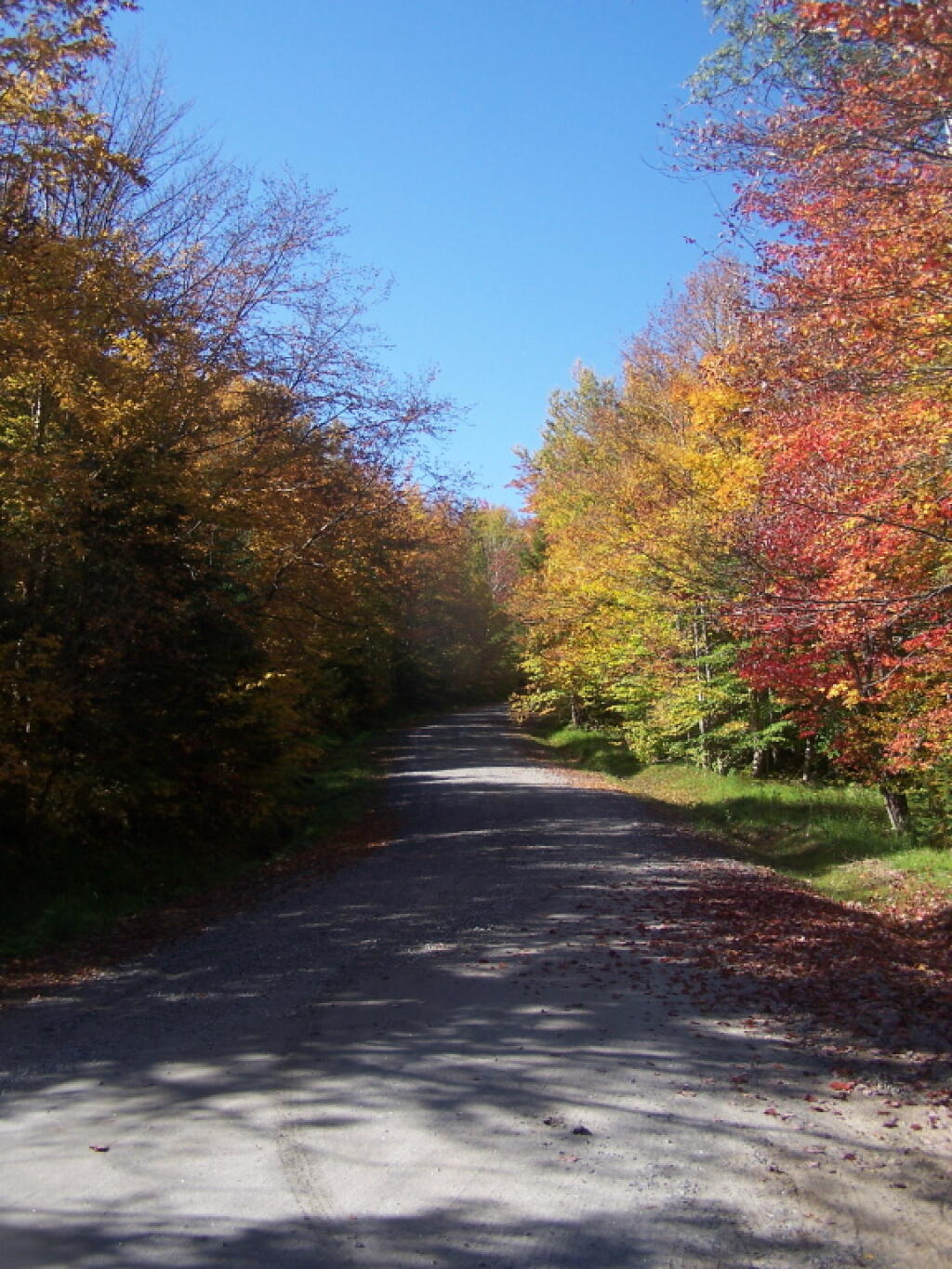 Photo: Road Wandering Up Back Side of Sturges Hills