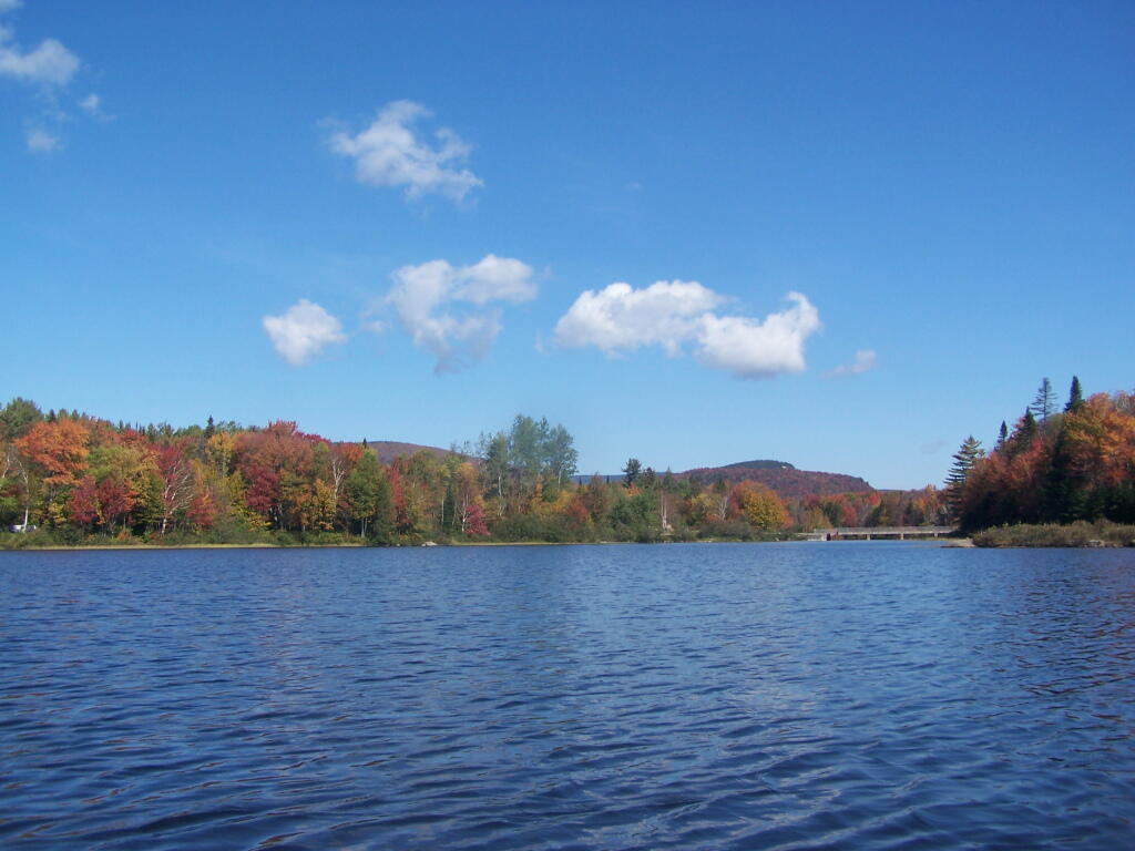 Photo: Looking Back to Wakely Dam