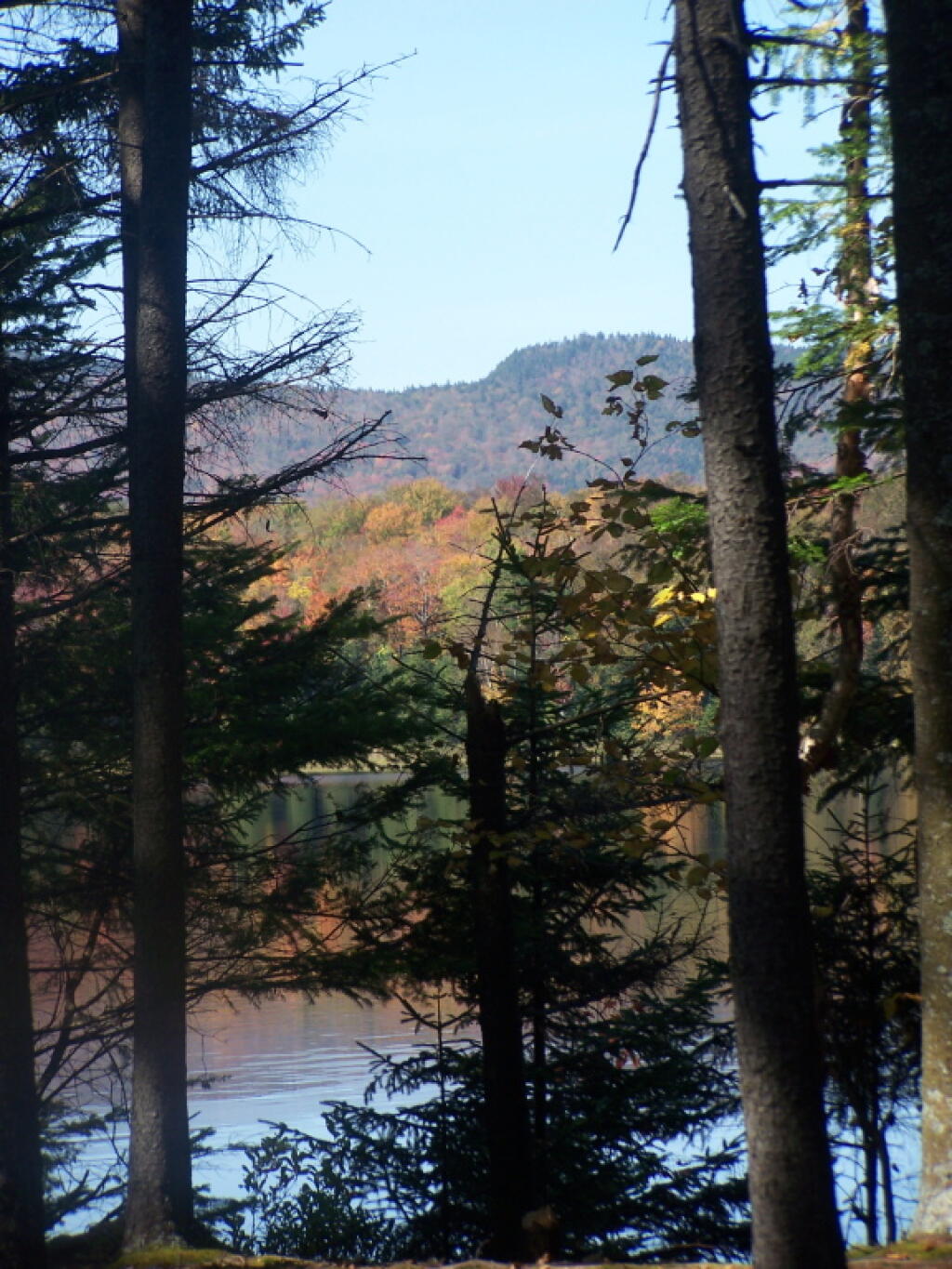 Photo: Looking Out from a Campsite