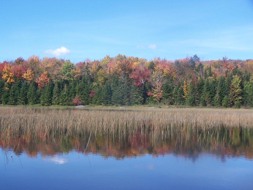 Photo: Color Along the Edge