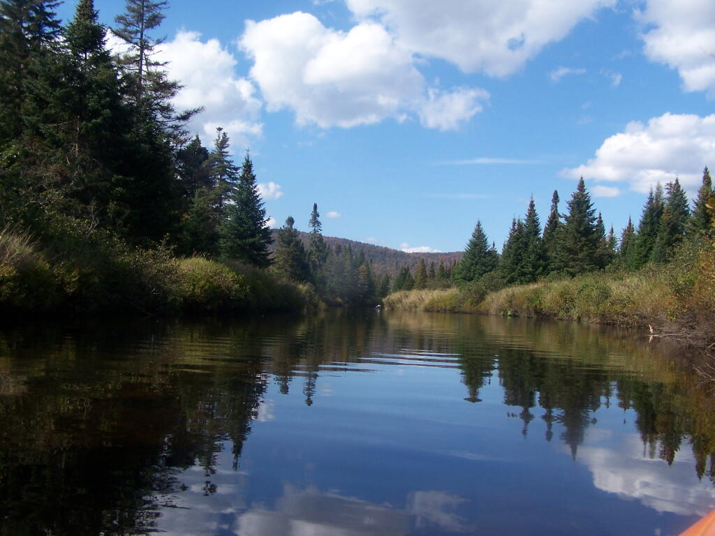 Photo: Paddlng Along the Cedar River