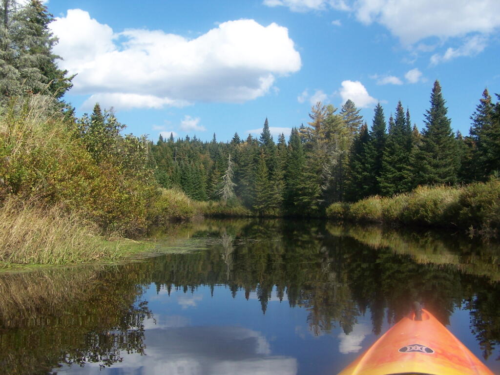 Photo: Scenic River for Sure.