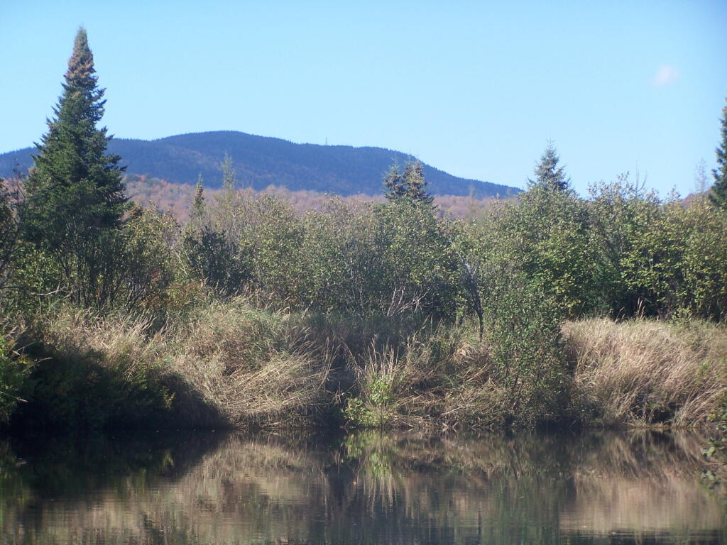 Photo: There's Wakely Mountain (as seen from Cedar River).