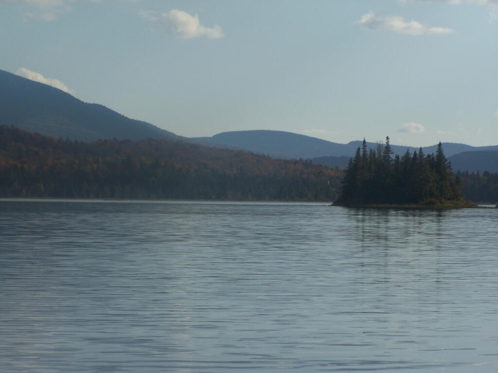 Photo: Island on the Flow
