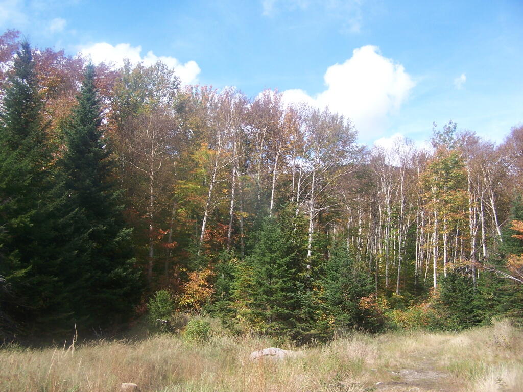 Photo: Another Open Sand Pit Along Trail