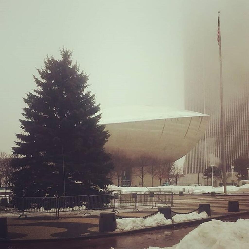 Photo: State Christmas Tree